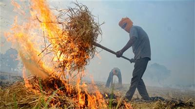 फसल अवेशष को जलाने की घटनाओं को रोकने के लिए कृषि विभाग ने किया टीमों का गठन