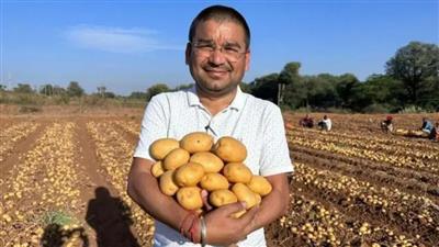 India becomes the new superpower of French fries, potatoes are changing the fortunes of farmers: भारत बना फ्रेंच फ्राइज़ का नया सुपरपावर, आलू से बदल रही है किसानों की तक़दीर