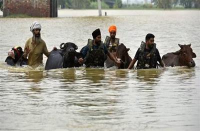 Worst flood in Punjab since 1988: पंजाब में 1988 के बाद की सबसे भीषण बाढ़, अब तक 37 की मौत और साढ़े 3 लाख लोग प्रभावित