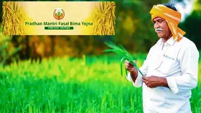 PMFBY: Uproar over Rs 1 insurance claim, Agriculture Minister reprimands officials, government to investigate: PMFBY: 1 रुपए के बीमा क्लेम पर मचा बवाल, कृषि मंत्री ने अफसरों को लगाई फटकार, सरकार करेगी जांच