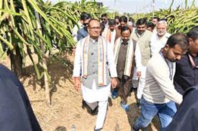 किसान की फसल से खिलवाड़ पर अब सीधा प्रहार, दोषियों को बख्शा नहीं जाएगा : शिवराज सिंह चौहान