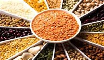 दलहन क्षेत्र को सशक्त बनाने के उद्देश्य से 7 फरवरी, 2026 को मध्य प्रदेश के सीहोर जिले में दलहन कॉन्फ्रेंस का आयोजन 