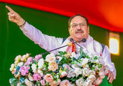 प्रधानमंत्री सुरक्षित मातृत्व अभियान के एक दशक पूरा होने पर कल से राष्ट्रव्यापी समारोह